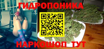 стаф Свободный