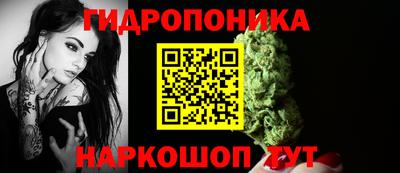 молекула духа Северобайкальск